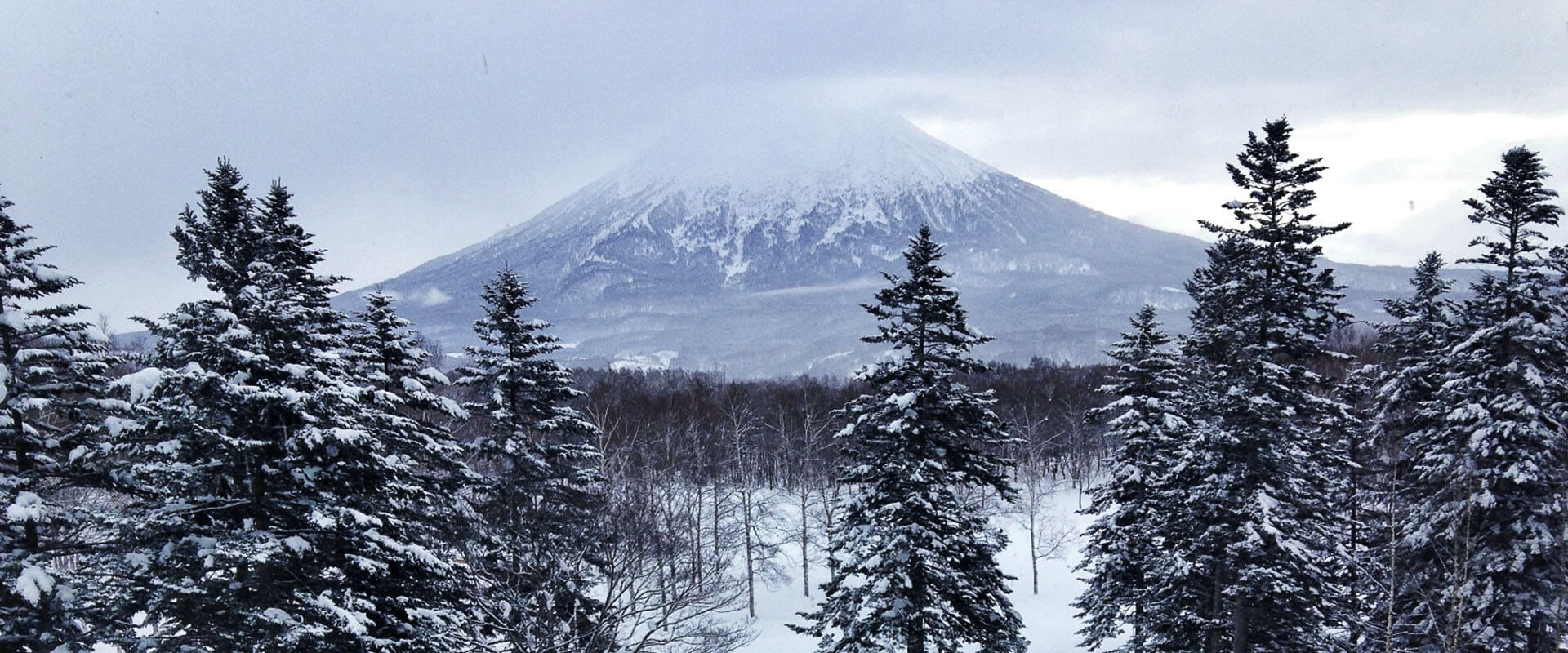 Niseko - Japan